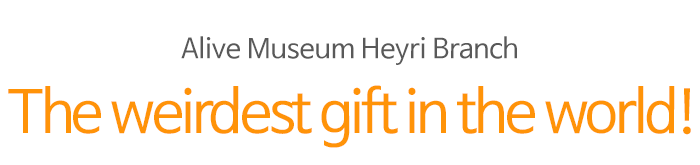 Alive Museum Heyri Branch , The weirdest gift in the world!