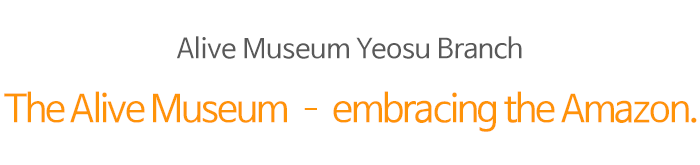 박물관은 살아있다 Yeosu Branch 박살, 아마존을 품다 